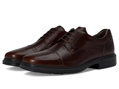 Ecco Helsinki 2.0 Cap Toe Tie Oxford In Brown