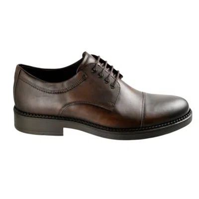 Ecco Men's Newcastle Cap Toe Oxford Shoes In Cocoa In Brown