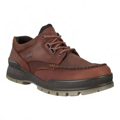 Ecco Men's Sport Track 25 Gore-tex Shoe In Brown