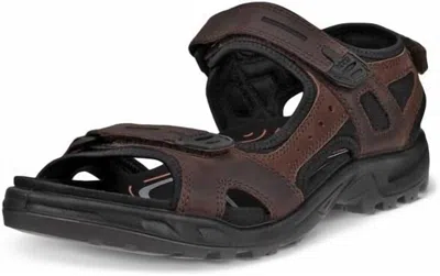 Ecco Men's Yucatan Sandal In Mocha In Brown