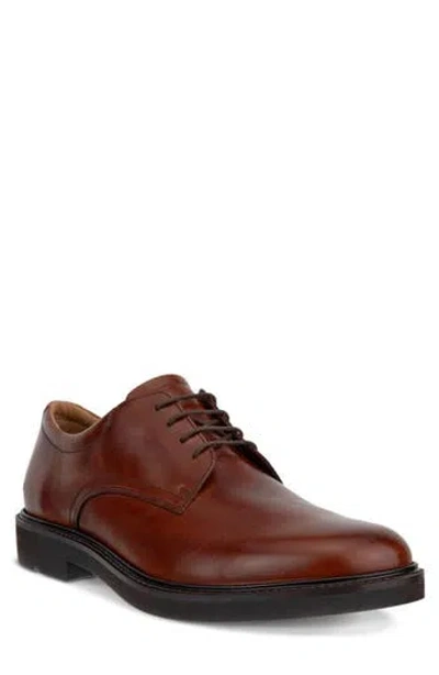 Ecco Metropole London Derby In Brown
