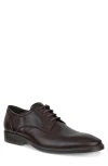 Ecco Maitland Plain Toe Leather Derby In Cocoa Brown