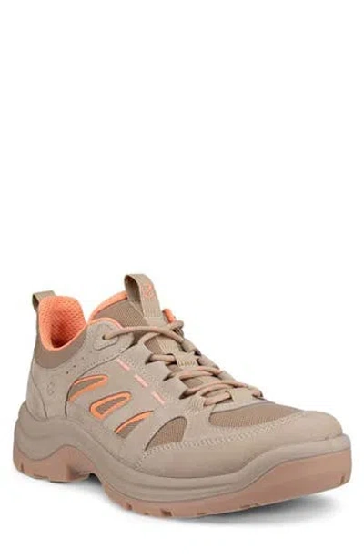 Ecco Offroad Hiking Sneaker