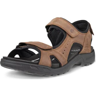 Ecco Onroads Sandal In Cocoa Brown/black