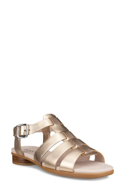 Ecco Sculpted Alba 25 Fisherman Sandal In Metallic