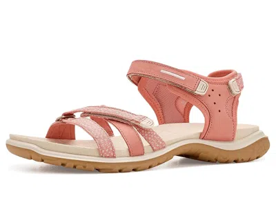 Ecco Sport Offroad Roam Sport Sandal In Multi