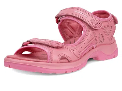 Ecco Sport Yucatan Sandals In Pink