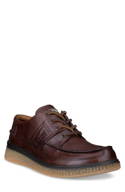 Ecco Walker 3.0 Plain Toe Derby In Burgundy