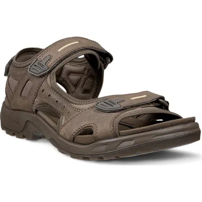 Ecco Yucatan River Sport Sandal In Brown