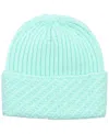 Echo 23 Bias Cuff Chunky Beanie In Mint
