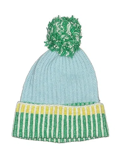 Pre-owned Echo Beanie Hat In Green