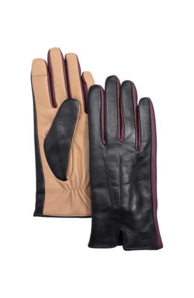 Echo Colorblock Leather Glove In Black