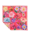Echo Dahlias In Bloom In Multi