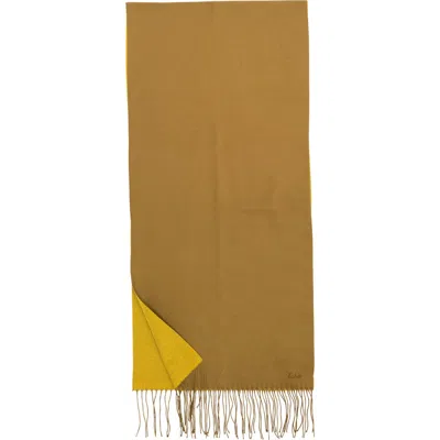 Echo Double Face Scarf In Brown