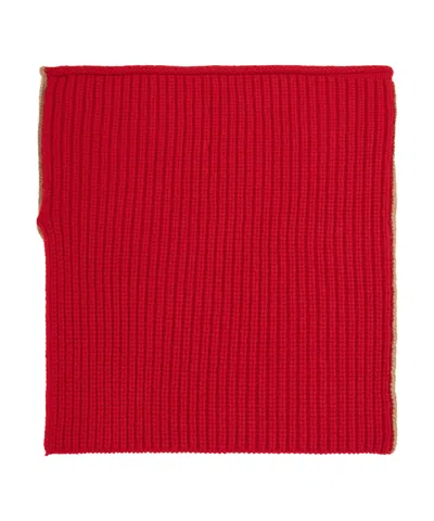 Echo New York Cozy Merino Neckwarmer In Multi