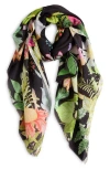 Echo Oasis Series Scarf In Black