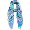 Echo Painted Stripe Scarf In Brown