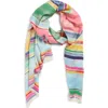 Echo Painted Stripe Scarf In Multi