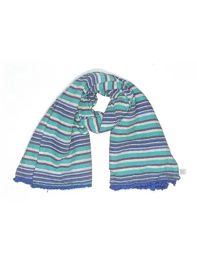 Pre-owned Echo Scarf In Blue