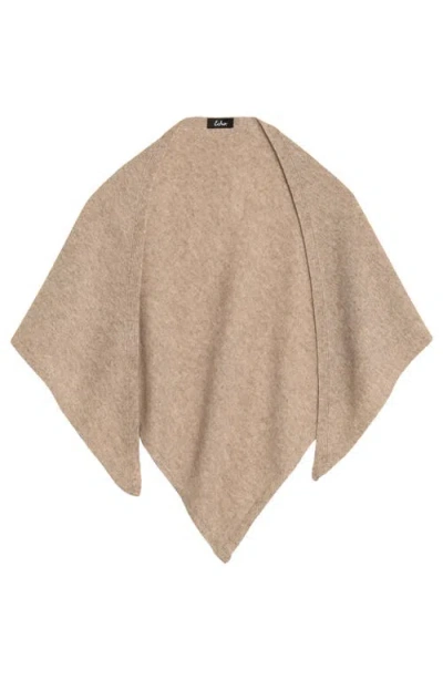 Echo Solid Triangle In Brown