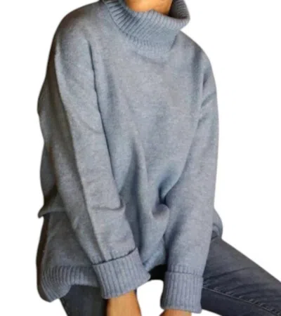 Echo Verde Dog Walker Sweater In Stone Wash