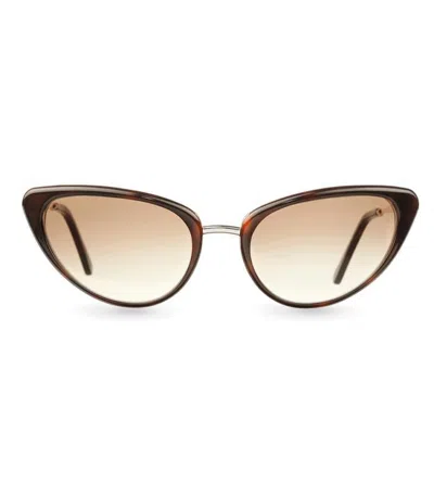 Eclipse Ec228 Sunglasses In Havana Mou