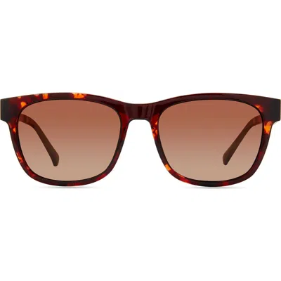 Eco Aino 53mm Polarized Square Sunglasses In Brown
