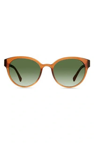 Eco Avala 53mm Polarized Round Sunglasses In Brown