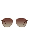 Eco Cebu 56mm Polarized Aviator Sunglasses In Brown