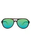 Eco Cimarron 56mm Polarized Shield Sunglasses In Brown