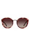 Eco Etna 52mm Polarized Round Sunglasses In Brown
