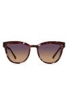 Eco Fuji 53mm Polarized Round Sunglasses In Multi
