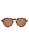 Eco Hyder 51mm Polarized Round Sunglasses In Brown