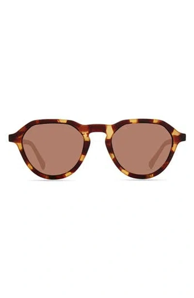 Eco Hyder 51mm Polarized Round Sunglasses In Brown