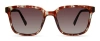 Eco Miller Sunglasses In Havana Moss