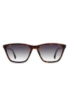 Eco Yun 53mm Polarized Square Sunglasses In Brown