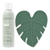 Ecotools Makeup Brush + Sponge Shampoo & Cleansing Pad Bundle