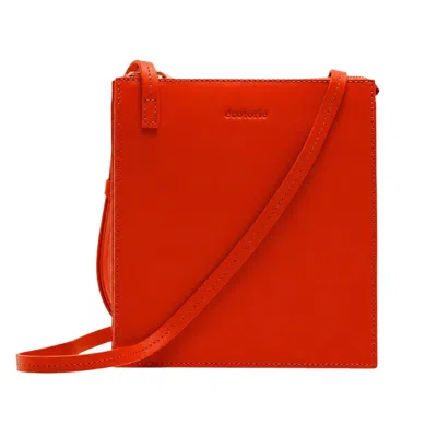 Écotorie Women's Polly - Vibrant Orange