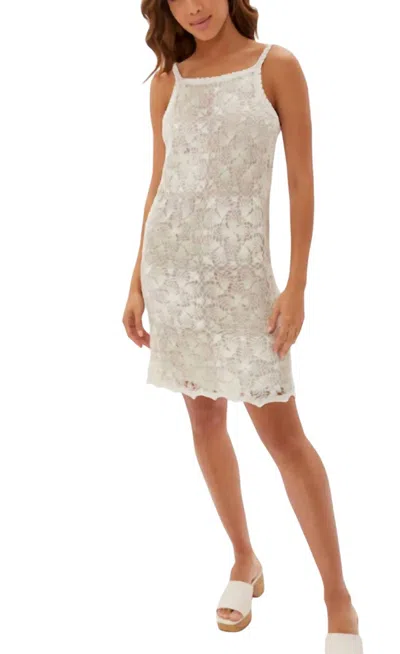 Ecru Johnson Crochet Dress In Natural/optic White In Multi