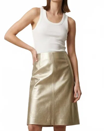 Ecru Pencil Mini Skirt In Gold