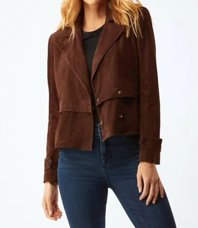 Ecru Suede Short Trench In Chocolate In Brown