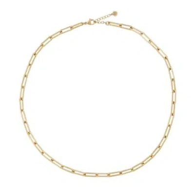 Edblad Ivy Chain Large Link Necklace In 14k Gold Plating On Stainless Steel
