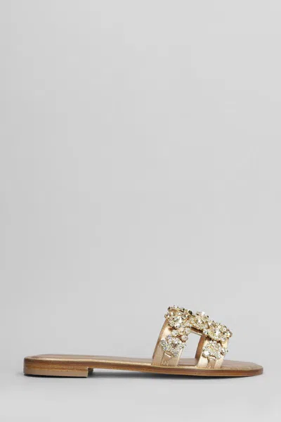 Eddicuomo Flats In Gold