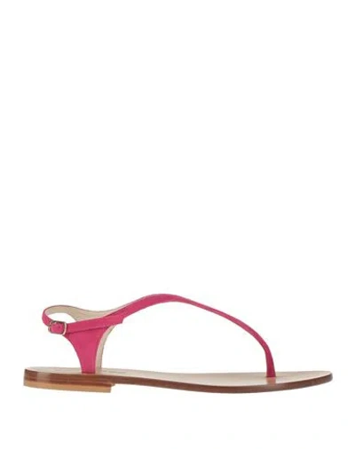 Eddicuomo Woman Thong Sandal Fuchsia Size 10 Leather