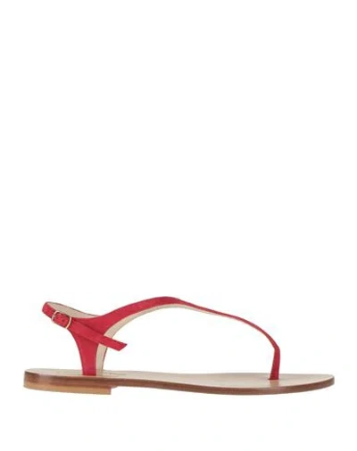Eddicuomo Woman Thong Sandal Red Size 8 Leather
