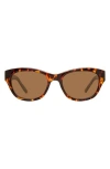 Eddie Bauer 51mm Oval Polarized Sunglasses In Brown