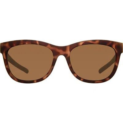 Eddie Bauer 54mm Round Polarized Sunglasses In Brown