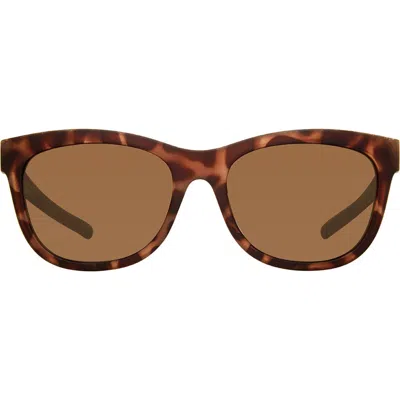 Eddie Bauer 54mm Round Polarized Sunglasses In Tortoise/brown
