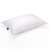 Eddie Bauer Down Blend Medium Support Chamber Pillow In White