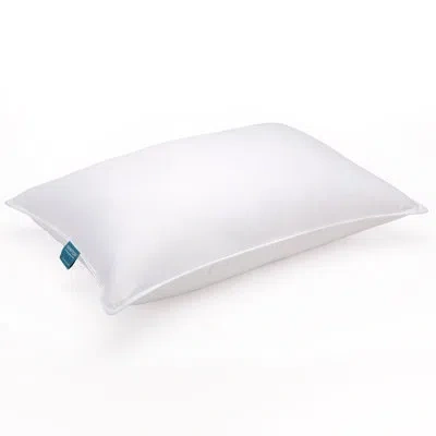 Eddie Bauer Down Blend Medium Support Chamber Pillow In White